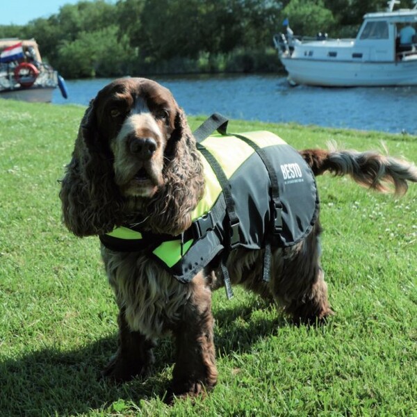 Besto Hondenzwemvest Deluxe XS