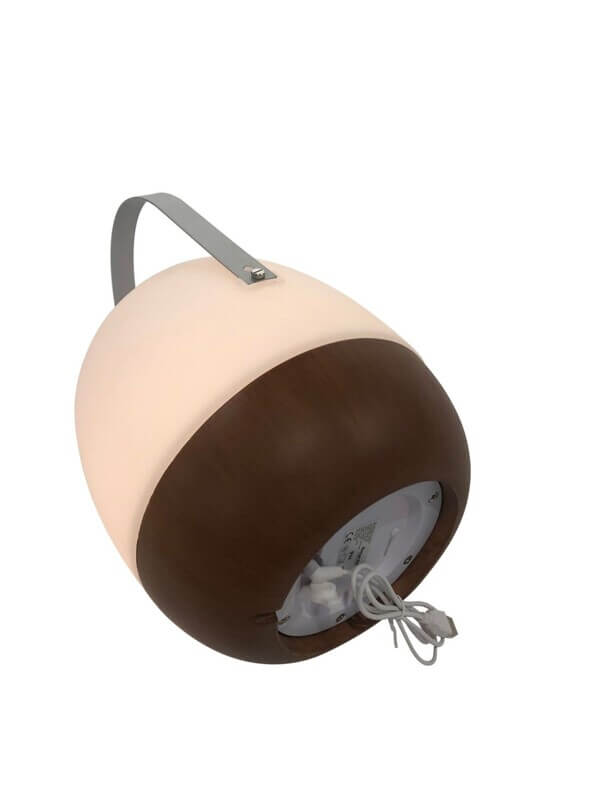 Cosy Lamp Pintac met Bluetooth