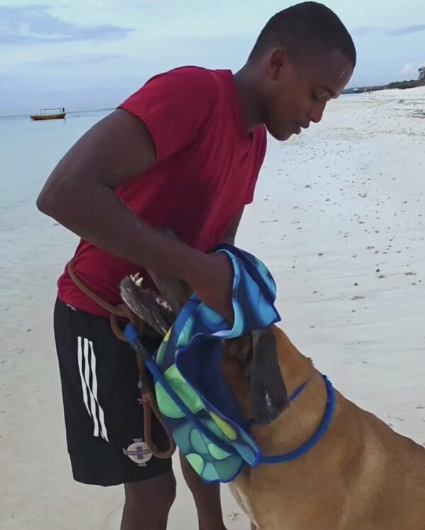Sneldrogende Hondenhanddoek Paw