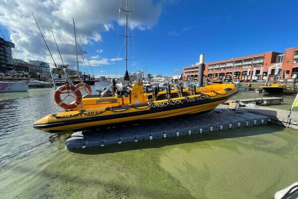 Dock Marine Nederland